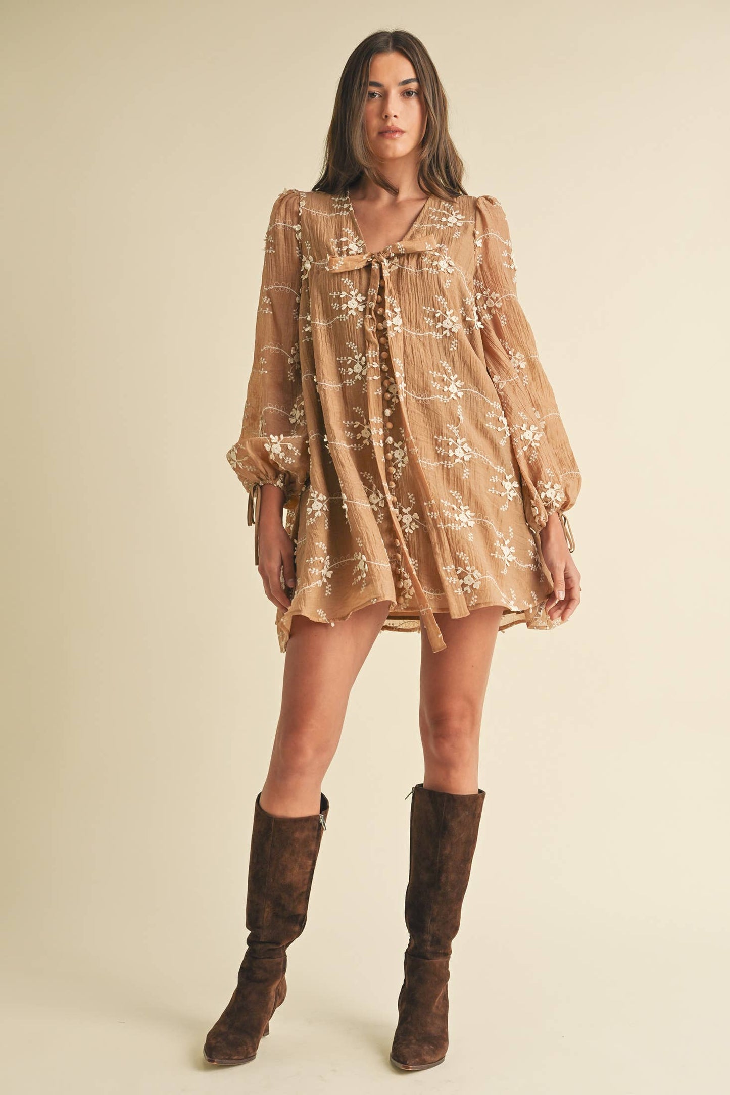 Embroidered Long Sleeve Mini Dress