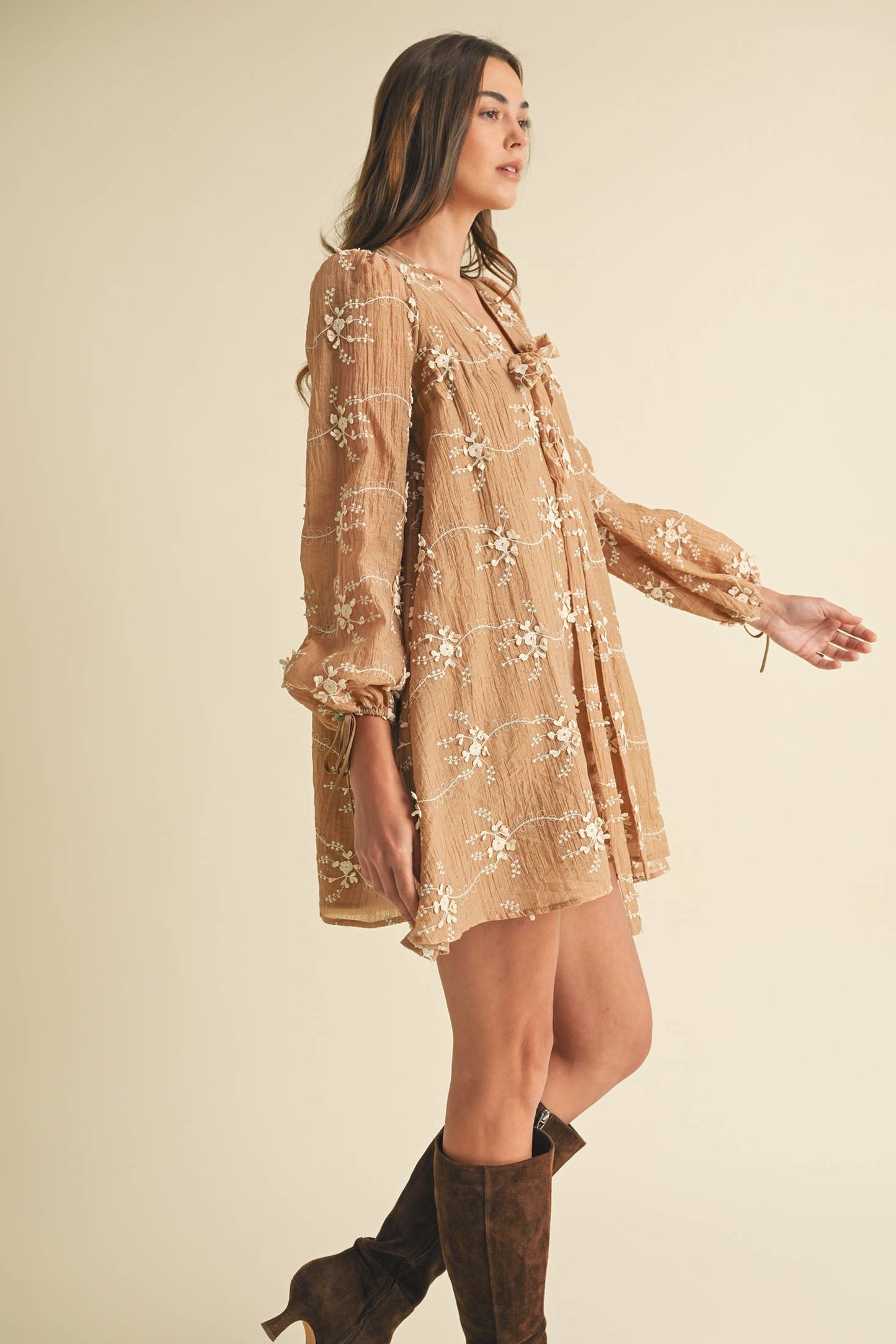 Embroidered Long Sleeve Mini Dress